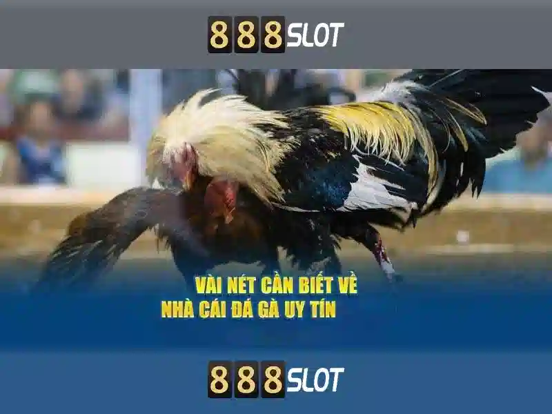 888slot: Đánh giá tổng quan về khe trực tuyến hàng đầu