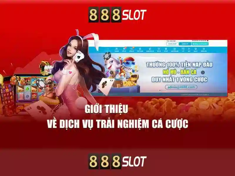 Khuyến mãi và chương trình thưởng