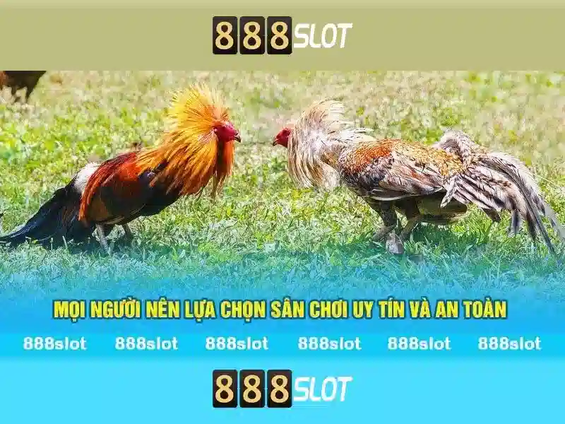 888slot: Nền tảng slot trực tuyến đa dạng và an toàn