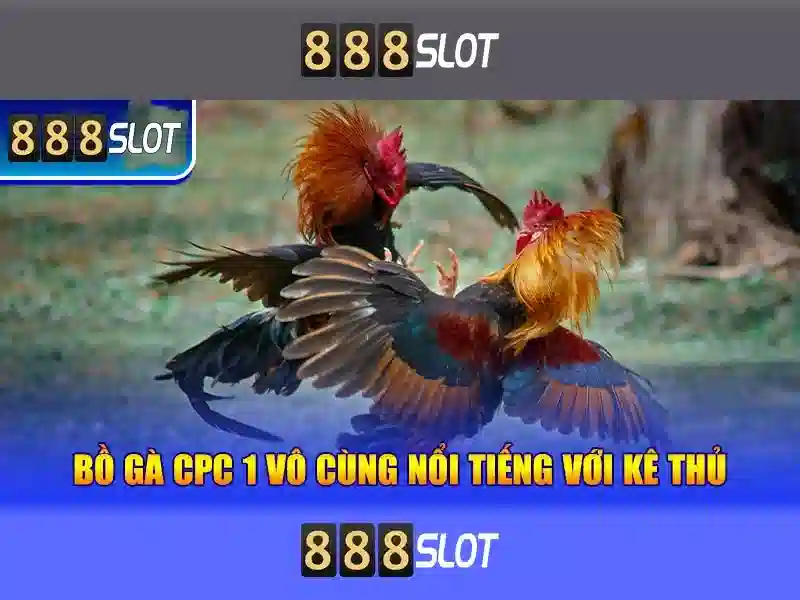 Giới thiệu về 888slot