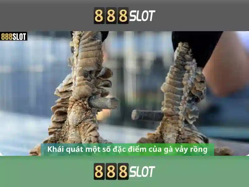 Đánh giá về trải nghiệm người chơi