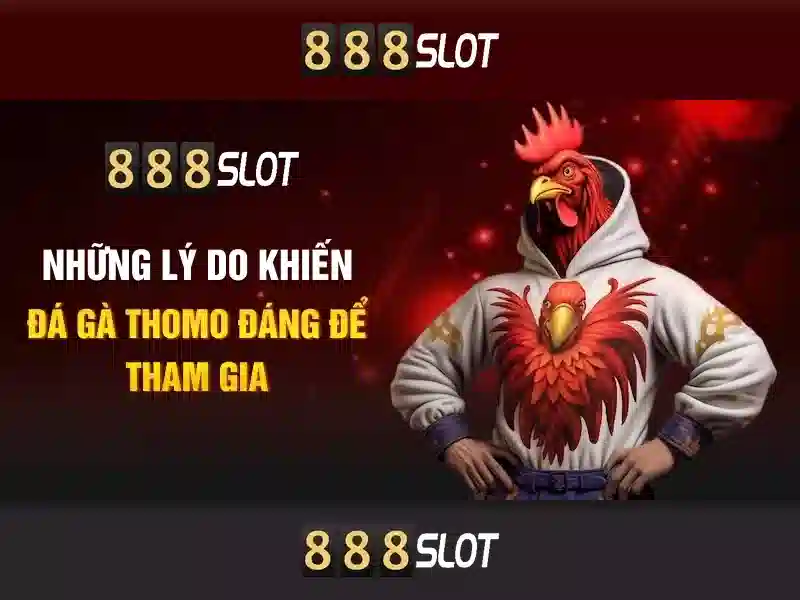 888slot là gì và tại sao nó được nhiều người tin dùng