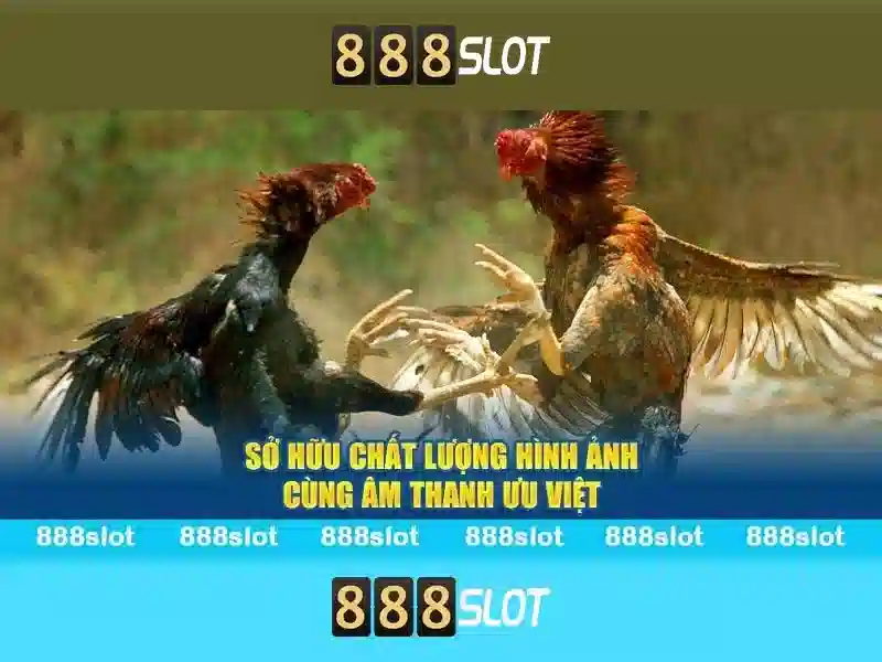 888slot: Đánh giá và trải nghiệm