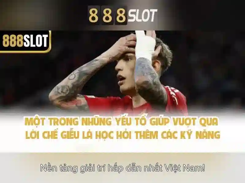 Lời kết và liên hệ