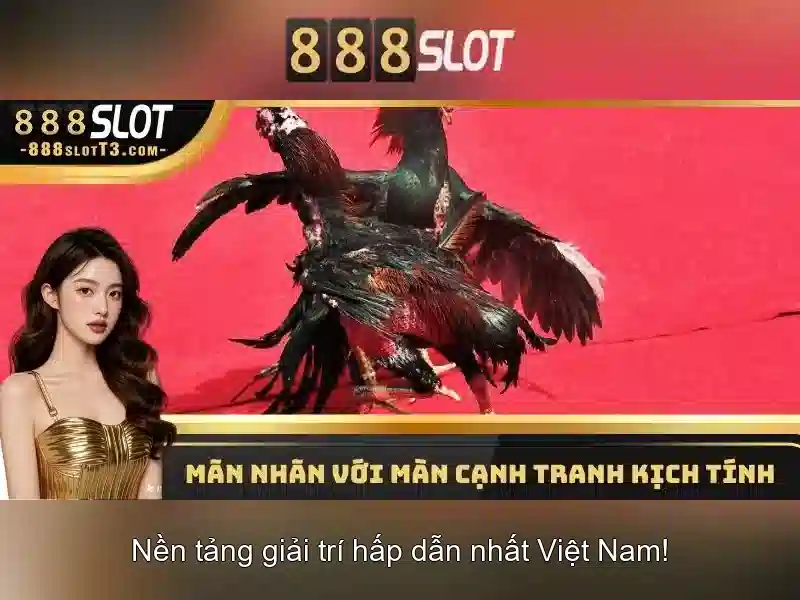 Ưu điểm của nền tảng