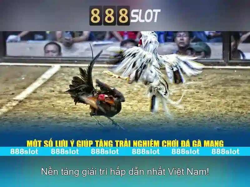 Giao diện người dùng và trải nghiệm