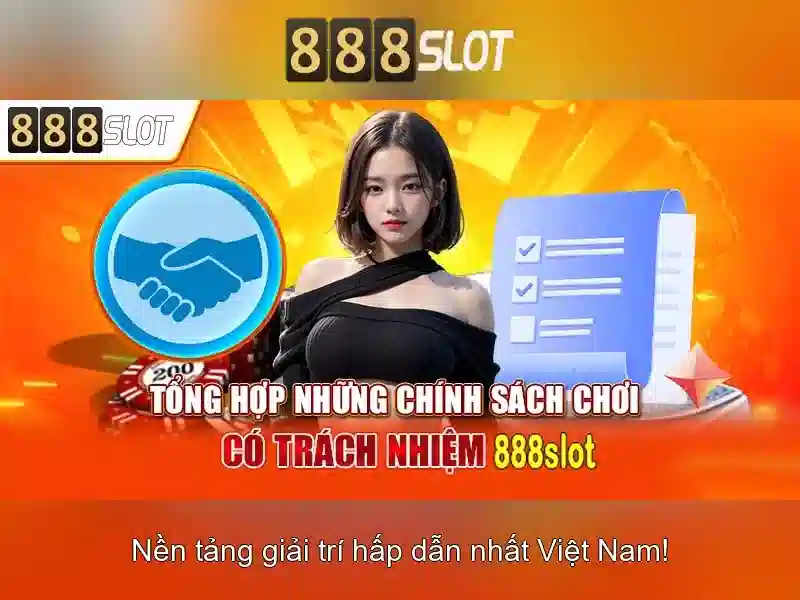 Lời khuyên cho người mới và kết luận