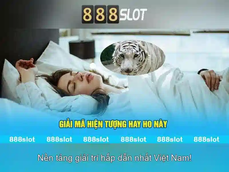 888slot là gì và tại sao được ưa chuộng